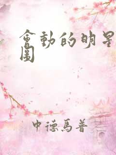 会动的明星合成图