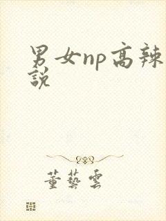 男女np高辣小说 男女np高辣小说
