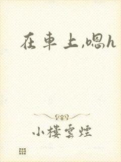 在车上,嗯h