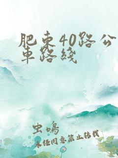 肥东40路公交车路线