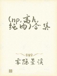 (np,高h,纯肉)合集 (np,高h,纯肉)合集