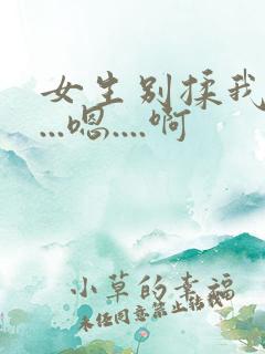 女生别揉我奶头...嗯....啊