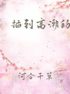 插到高潮的小说