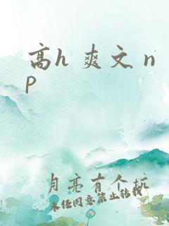高h 爽文 np 高h 爽文 np