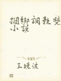 捆绑调教双性的小说