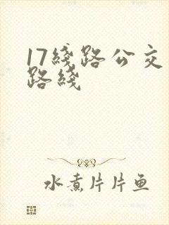 17线路公交车路线