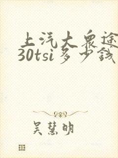 上汽大众途岳330tsi多少钱