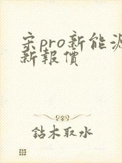 宋pro新能源新报价