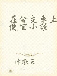 在公交车上被占便宜小说