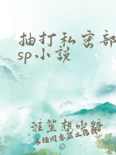 抽打私密部调教sp小说