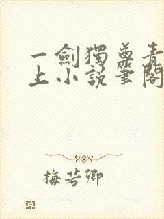 一剑独尊青鸾峰上小说笔阁趣