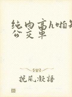 纯肉高h啪短文公交车