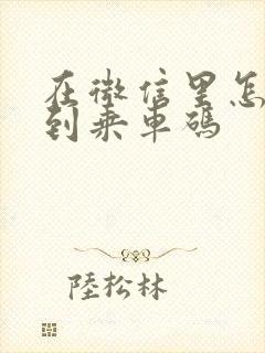 在微信里怎样找到乘车码