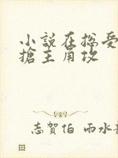 小说在总受文里抢主角攻