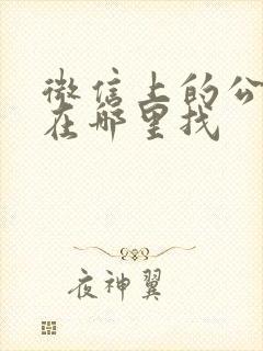 微信上的公交码在哪里找 微信上的公交码在哪里找