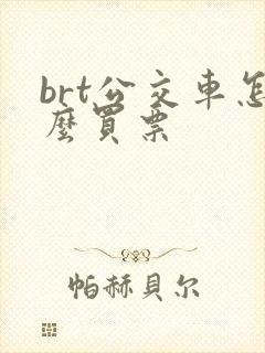 brt公交车怎么买票