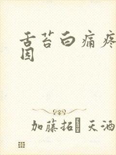 舌苔白痛疼的原因