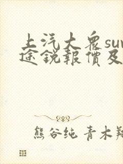 上汽大众suv途锐报价及图片