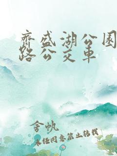 齐盛湖公园坐几路公交车