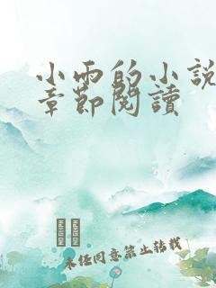 小雨的小说免费章节阅读