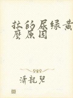 拉的尿绿黄是什么原因