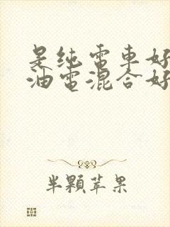 是纯电车好还是油电混合好呢