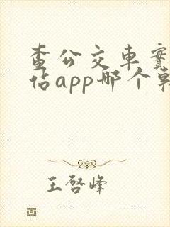 查公交车实时到站app哪个软件好