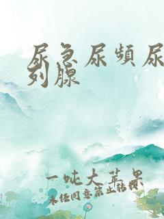 尿急尿频尿痛前列腺