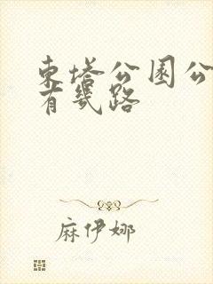 东塔公园公交车有几路