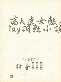高h虐女憋尿play调教小说