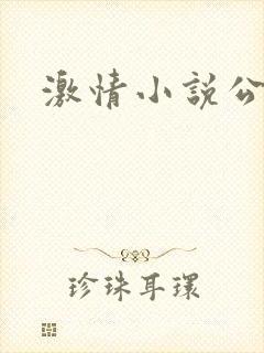激情小说公交车