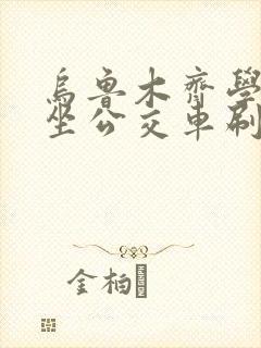 乌鲁木齐学生卡坐公交车刷一次多少钱