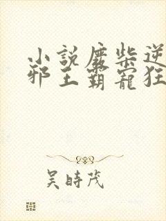 小说废柴逆天:邪王霸宠狂妃