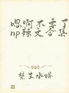 嗯啊不要了高hnp辣文合集