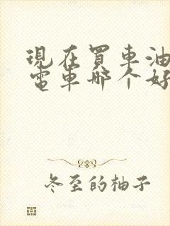 现在买车油车和电车哪个好