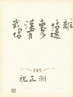 武汉东站离武昌站有多远