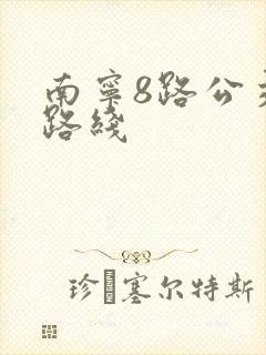 南宁8路公交车路线 南宁8路公交车路线