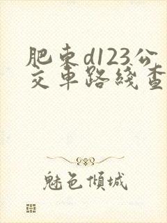 肥东d123公交车路线查询