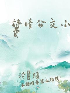 诗晴公交小说免费