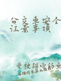 公交车安全乘车注意事项
