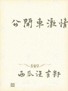 公开车激情小说