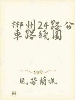 郴州24路公交车路线图