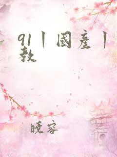 91丨国产丨调教