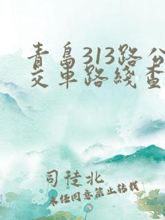 青岛313路公交车路线查询