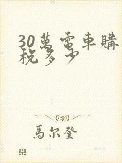 30万电车购置税多少