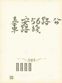 泰安56路公交车路线