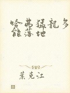 哈弗猛龙多少钱能落地