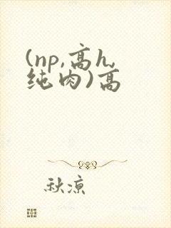 (np,高h,纯肉)高