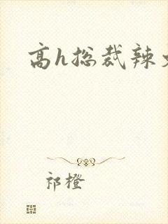 高h总裁辣文