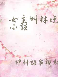 女主叫林晚晚的小说